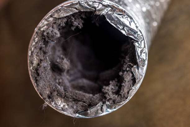 Best Emergency Air Duct Cleaning  in Langdon, ND